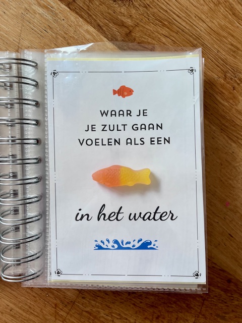 Bonboekje voor als je kind of goede vriend gaat verhuizen. Een printbaar bestand, wat je zelf kunt uitprinten en in een insteek fotomapje doet samen met cadeaubonnen. Het bestand is bewerkbaar in Canva om te personaliseren.