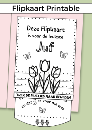 Flipkaart om een juf op een originele manier te bedanken. Print de digitale download uit, daarna kun je het zelf uitknippen, vouwen en plakken. Voeg een cadeaubon en leuke voorwerpen toe en klaar!