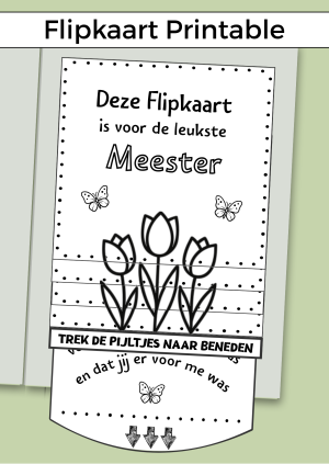 Flipkaart om een meester op een originele manier te bedanken. Print de digitale download uit, daarna kun je het zelf uitknippen, vouwen en plakken. Voeg een cadeaubon en leuke voorwerpen toe en klaar!